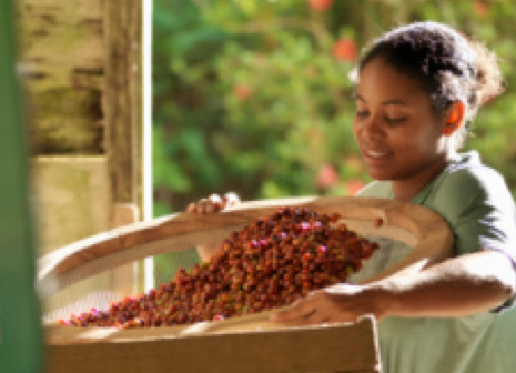 Кофе из Африки