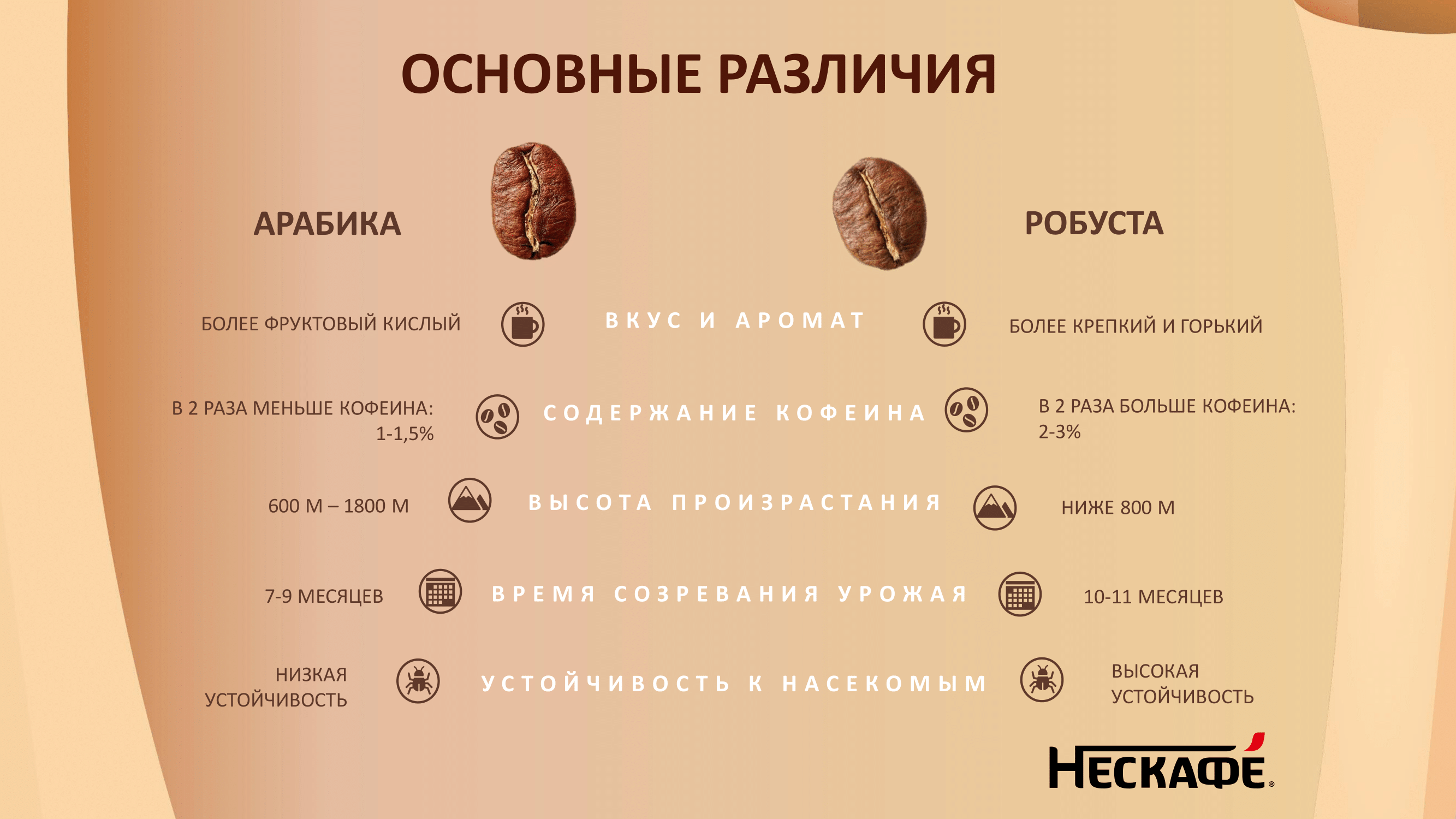 Академия для потребителей