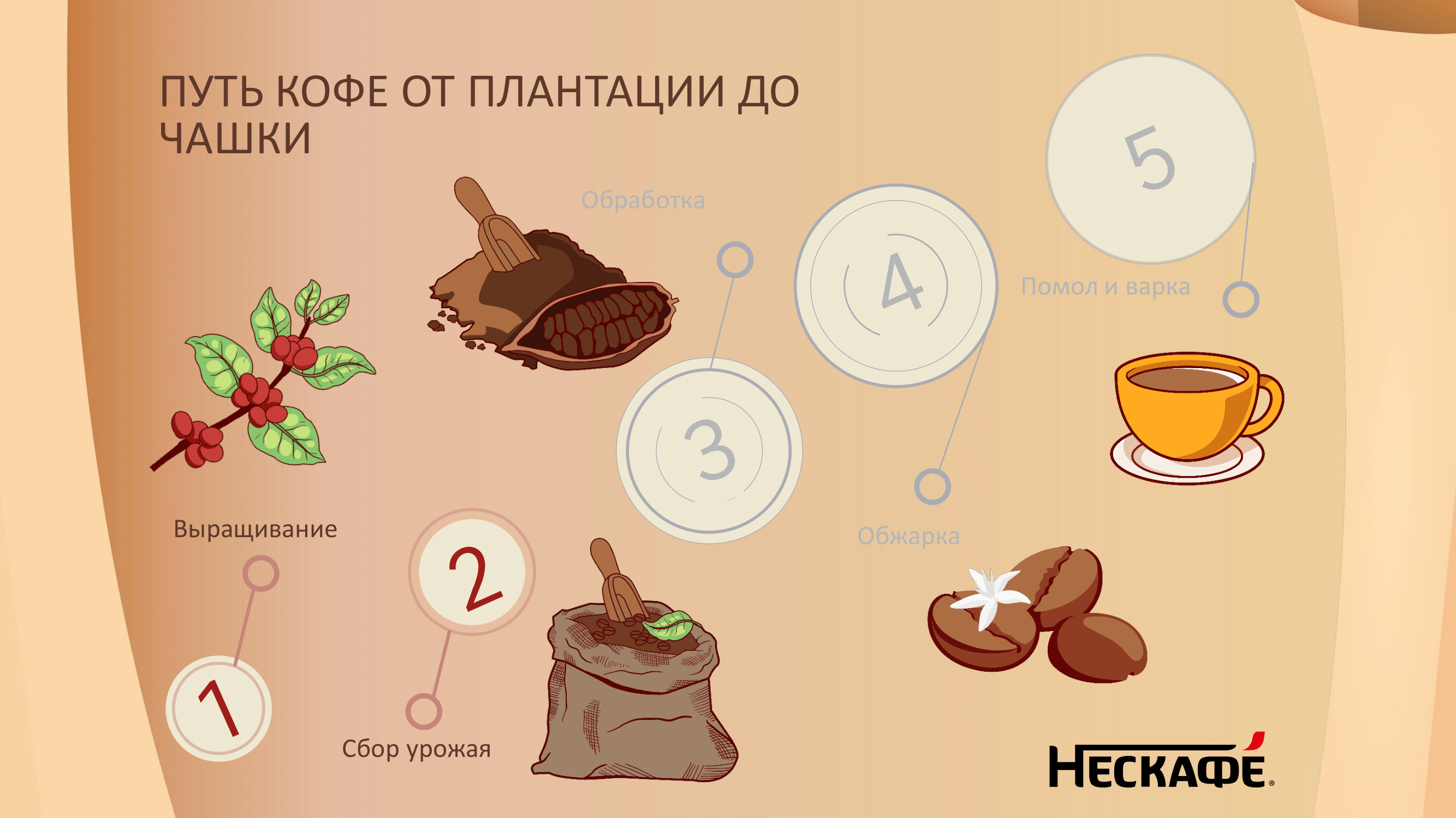Академия для потребителей