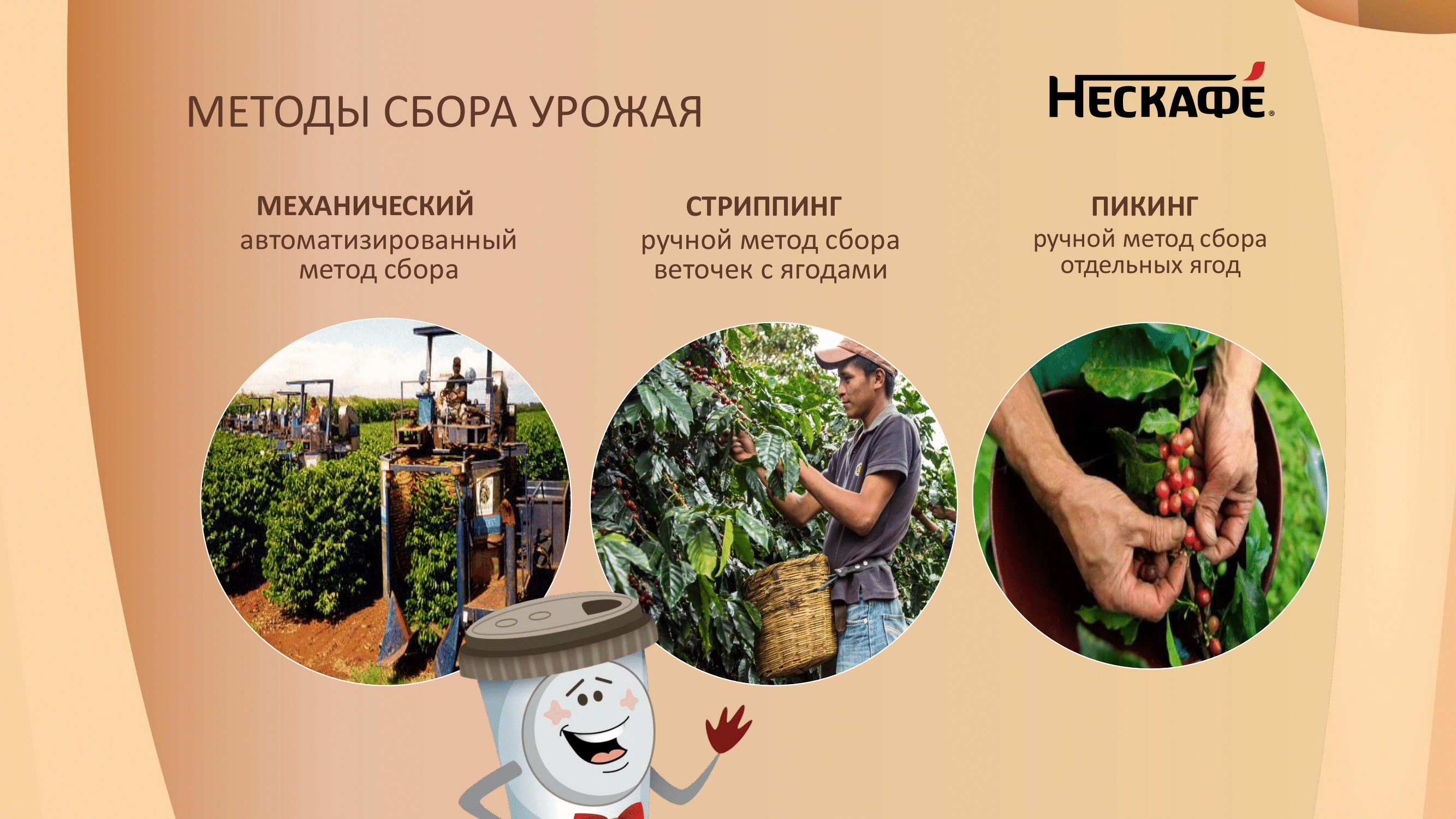 Академия для потребителей