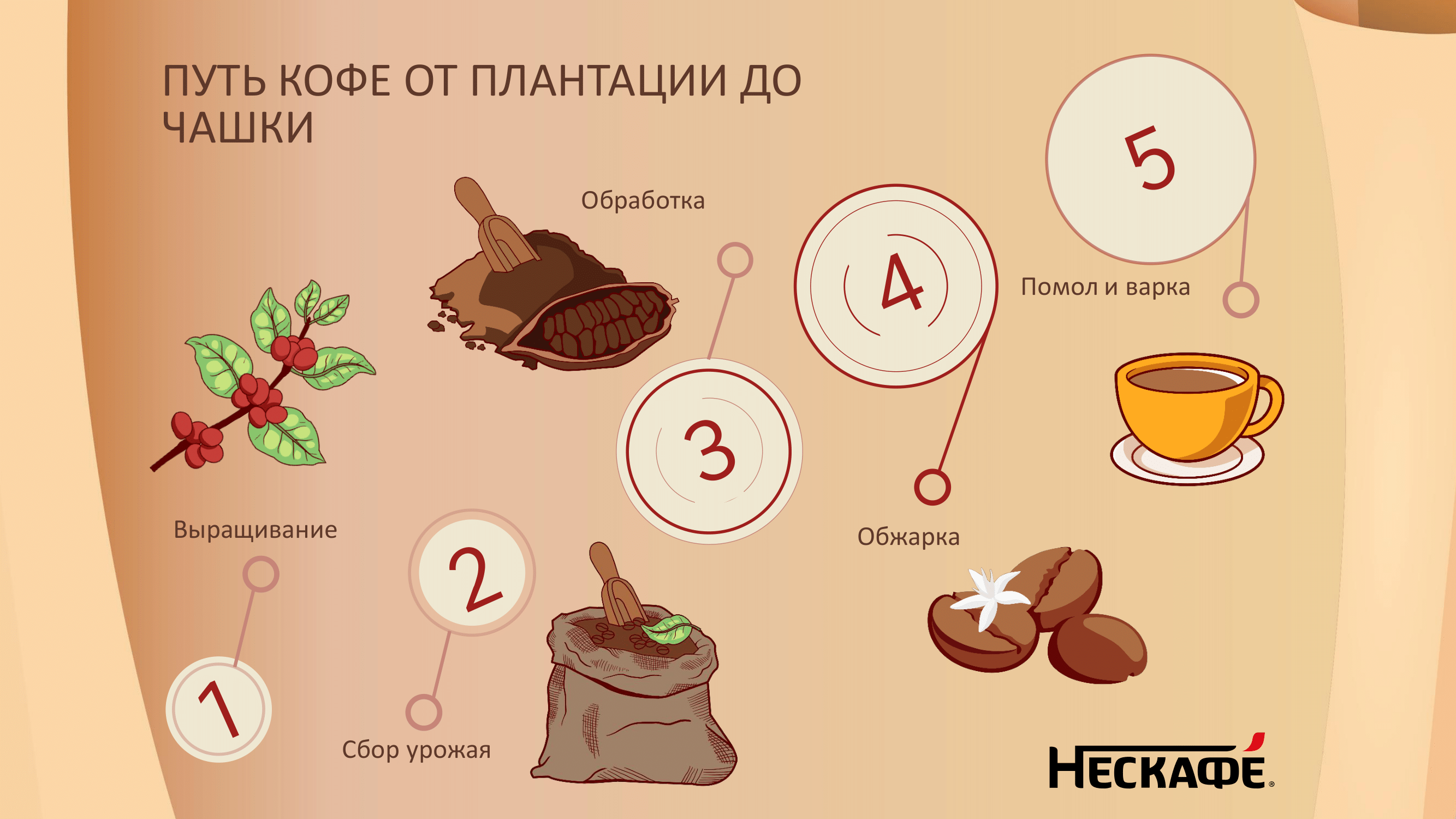 Академия для потребителей