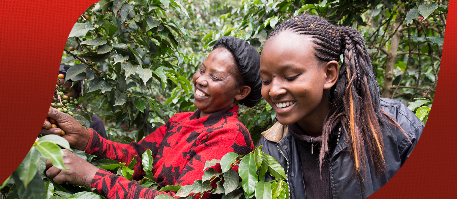 Two coffee farmers smiling
