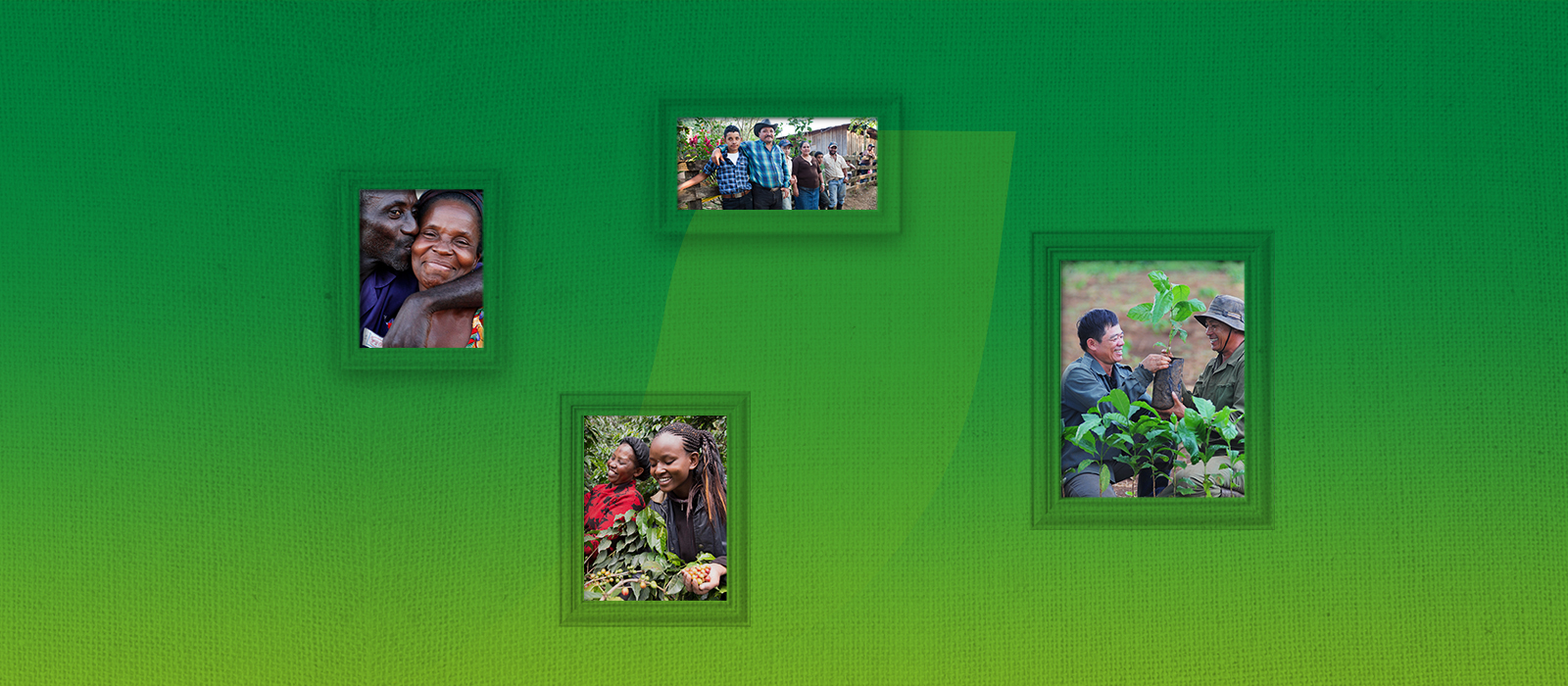 Happy coffee growers and farmers