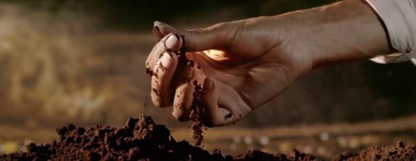 Происхождение кофе